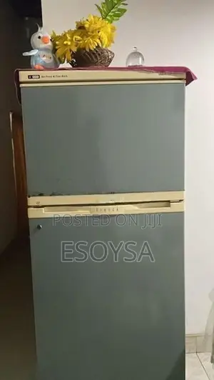 LG Goldstar Fridge