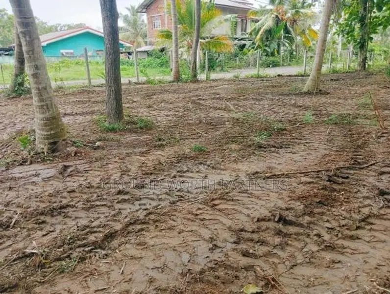 Valuable Land For Sale In Tangalle Marakolliya