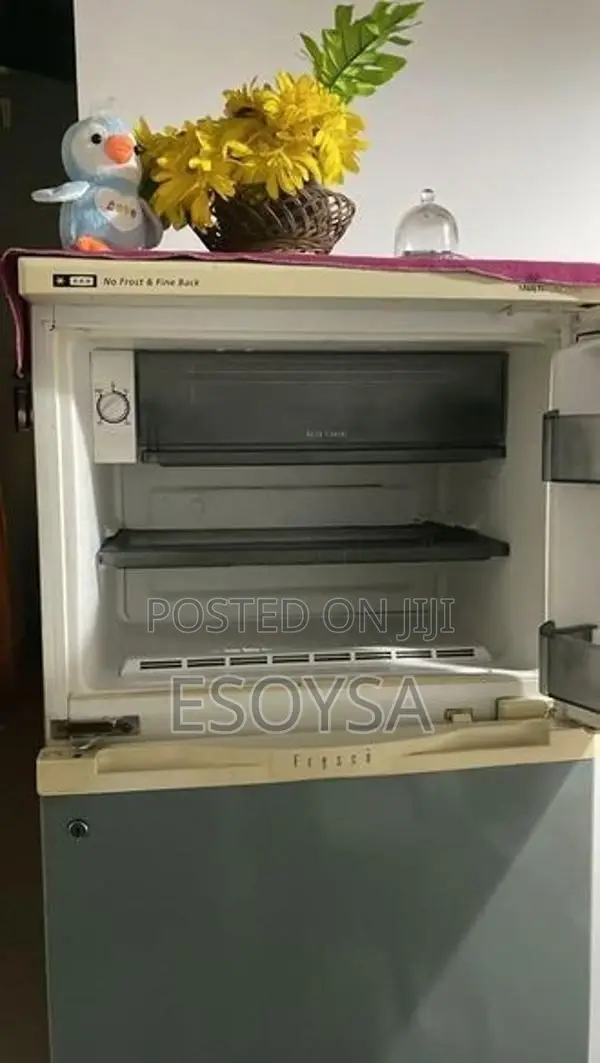 LG Goldstar Fridge