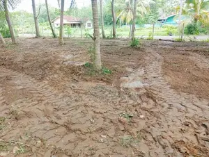 Valuable Land For Sale In Tangalle Marakolliya