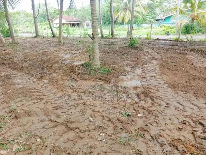 Valuable Land For Sale In Tangalle Marakolliya