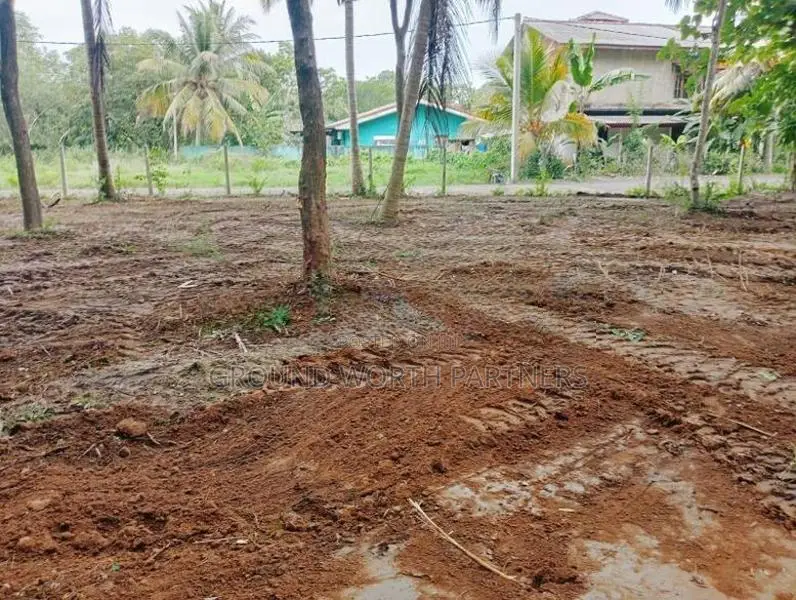 Valuable Land For Sale In Tangalle Marakolliya