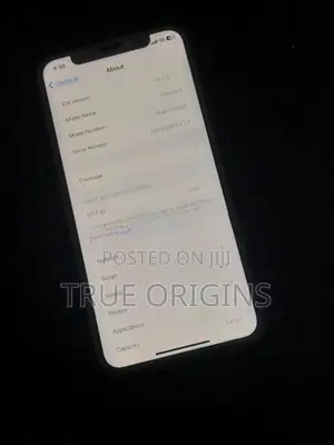 Apple iPhone X 64GB (Used)
