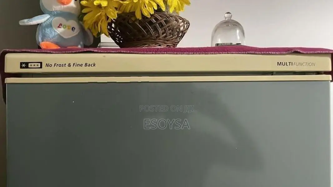 LG Goldstar Fridge