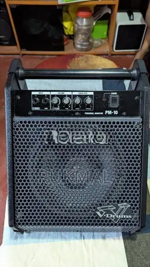 Roland PM-10