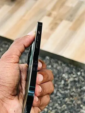 Apple iPhone 13 Pro (Used)