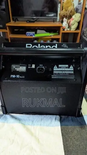 Roland PM-10