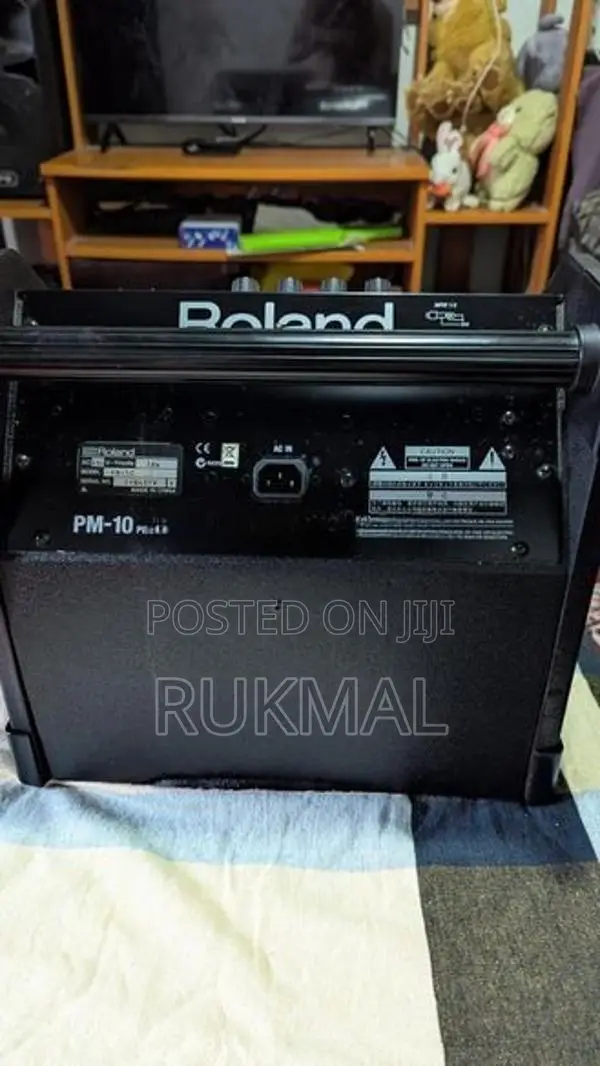 Roland PM-10