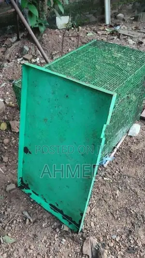 Bird Steel Cage