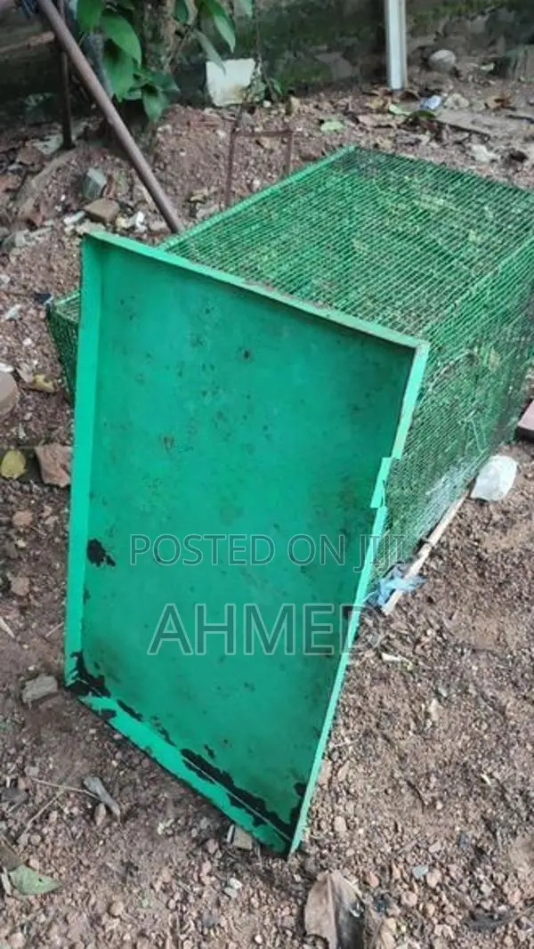 Bird Steel Cage