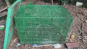 Bird Steel Cage