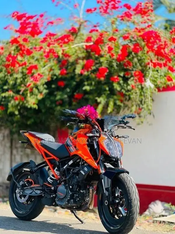 KTM Duke 2026