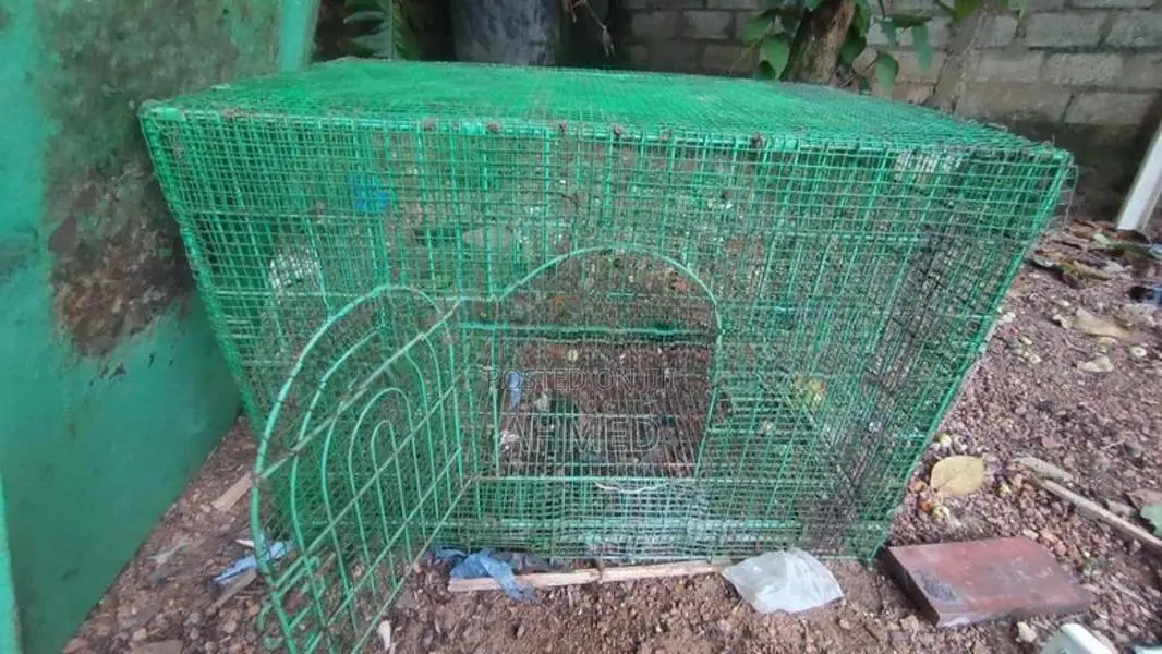 Bird Steel Cage