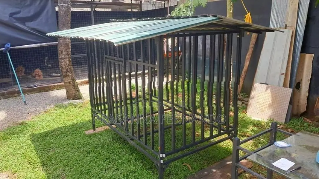Dog Cage