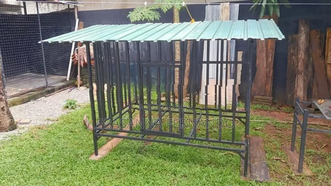 Dog Cage