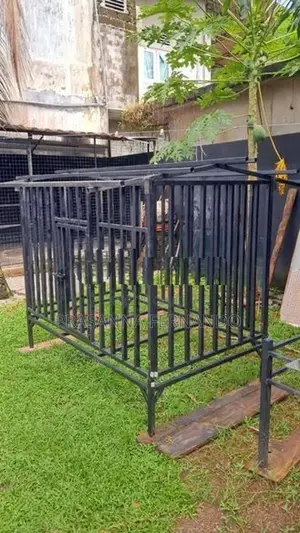 Dog Cage