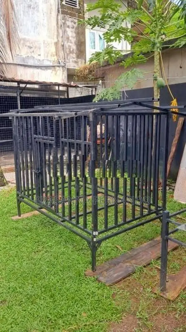 Dog Cage