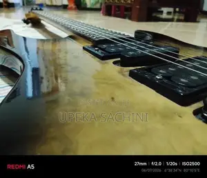 Ibanez Guitar