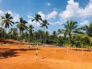 Pasyala Residential Land for Sale P2