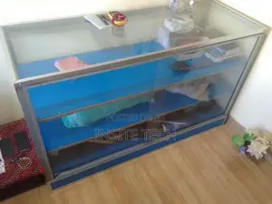 Showcase Cabinet