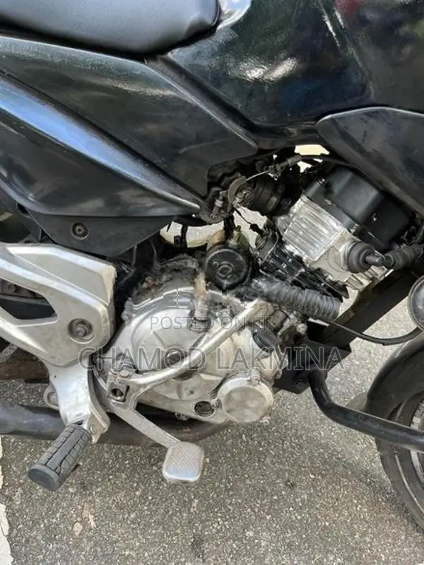 Bajaj Pulsar 135 2014