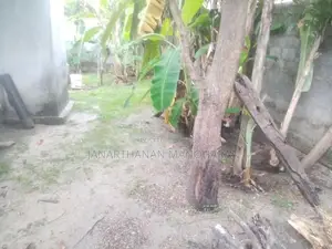 வீட்டுடன் கூடிய காணி விற்பணைக்கு Batticaloa