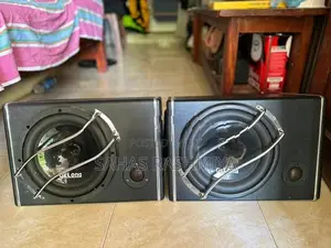 Gelong Subwoofer