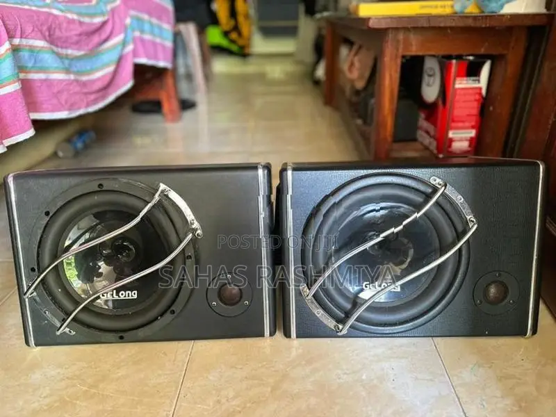 Gelong Subwoofer