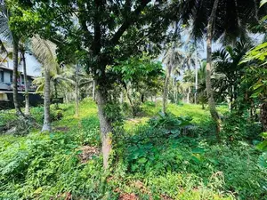 පදිංචියට කදිම තැනිතලා ඉඩමක් විකිණීමට - Piliyandala Dampe