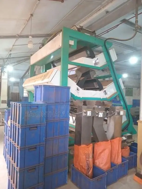 Colour Sorter