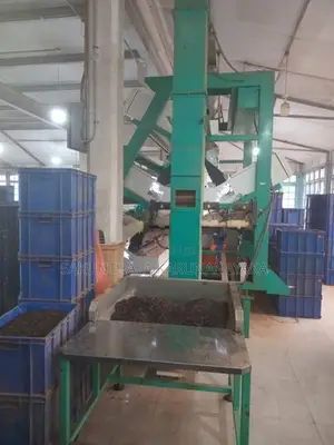 Colour Sorter