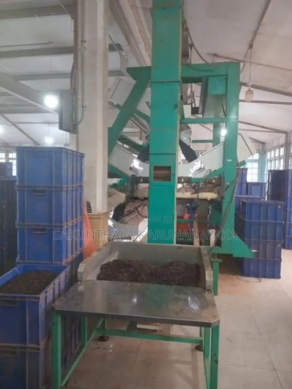 Colour Sorter