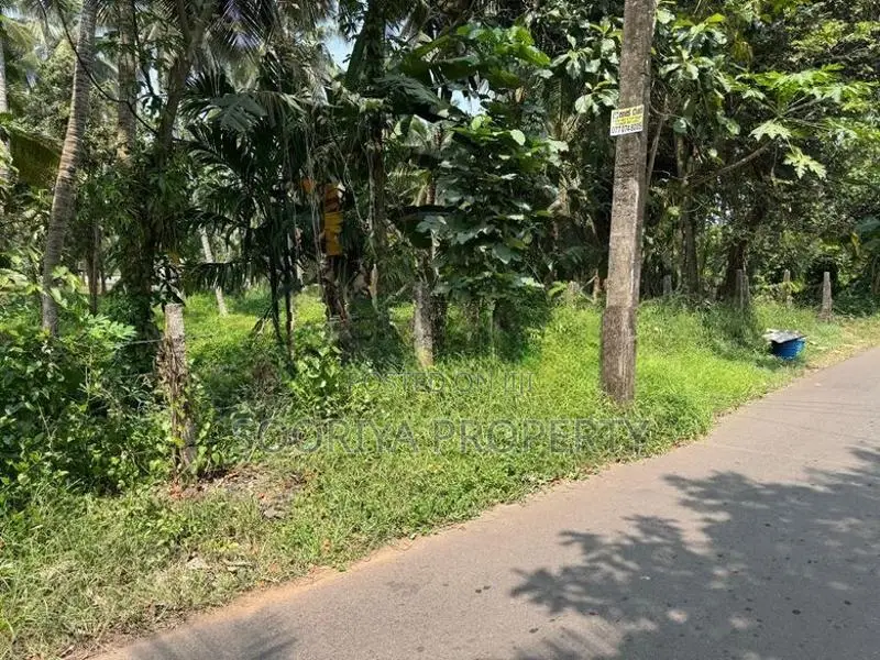 පදිංචියට කදිම තැනිතලා ඉඩමක් විකිණීමට - Piliyandala Dampe