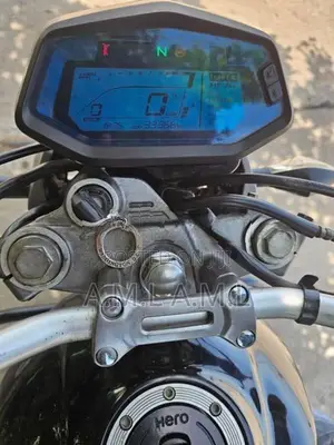Hero X Pulse 2020