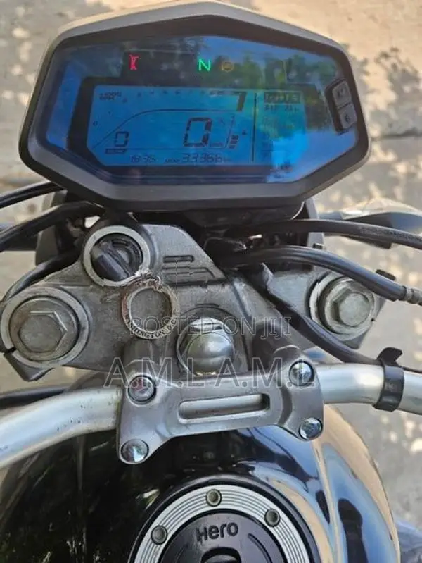Hero X Pulse 2020