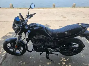 Hero X Pulse 2020