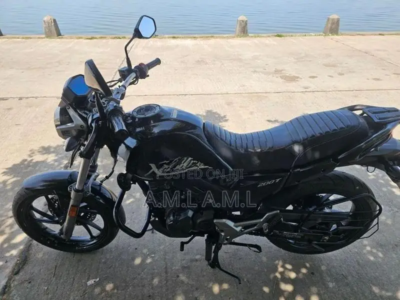 Hero X Pulse 2020
