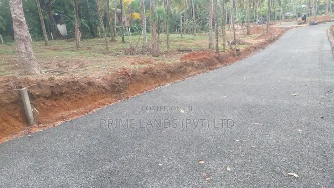 අහංගම සංචාරක කලාපයෙන් බිම් කොටස්