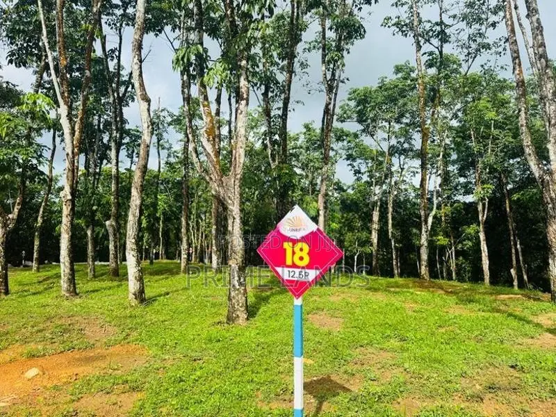 හොරන බැල්ලපිටිය වල්පිට පාරෙන් නේවාසික බිම්කොටස් විකිනීමට