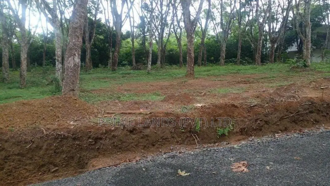 අහංගම සංචාරක කලාපයෙන් බිම් කොටස්