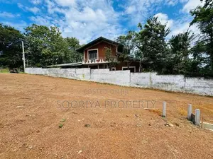 පිලියන්දල මඩපාත පාරට නුදුරින් ඉඩමක් විකිණීමට - Piliyandala Bataketthar