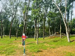 Valuable Lands for Sale Ballapitiya