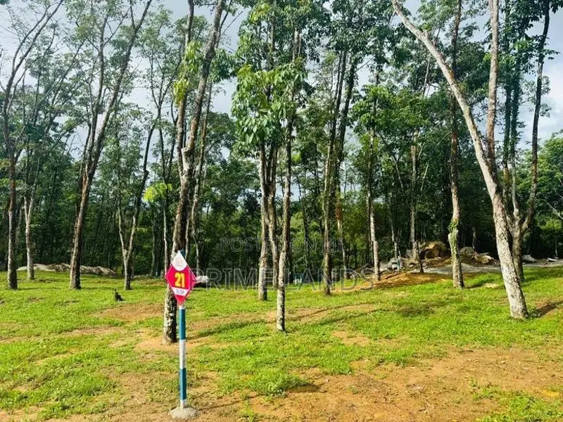 Valuable Lands for Sale Ballapitiya