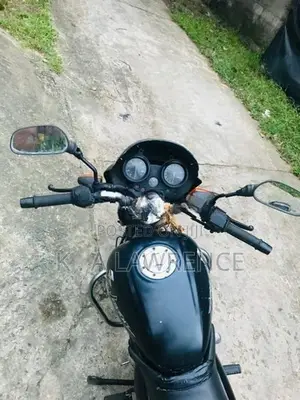 Bajaj Pulsar 150 2005