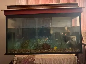 Fish Tank