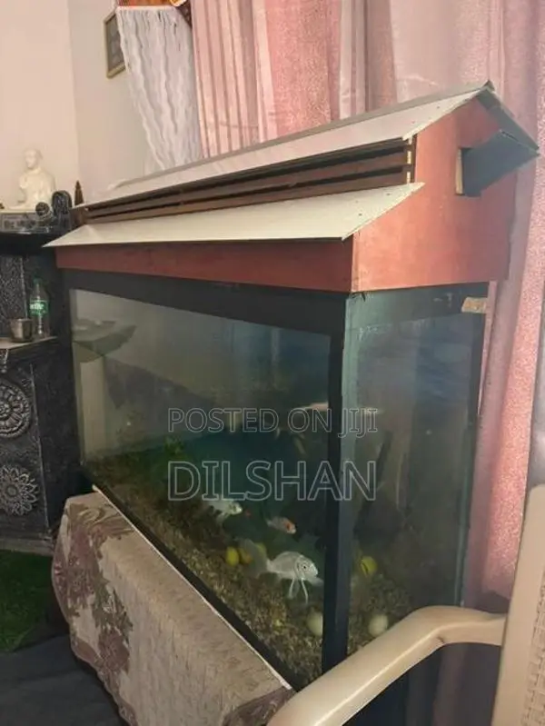 Fish Tank