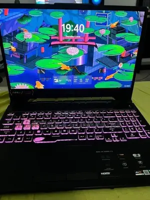 Asus Tuf F15 FX506 RTX 3050