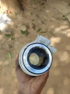 Canon EF 70-200mm f/2.8L IS II USM