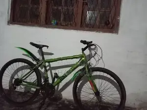 DSI Mountain Bicycle