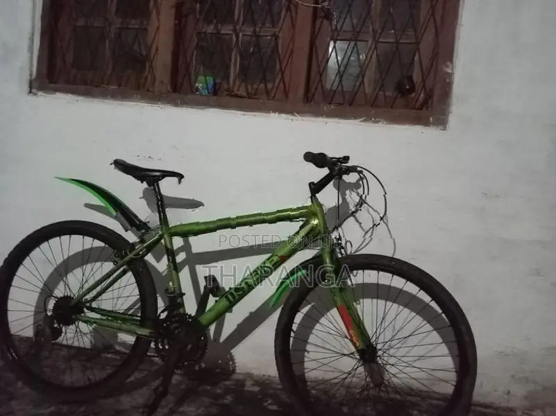 DSI Mountain Bicycle